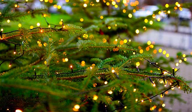 Außen Lichterkette mit Batterie am Tannenbaum