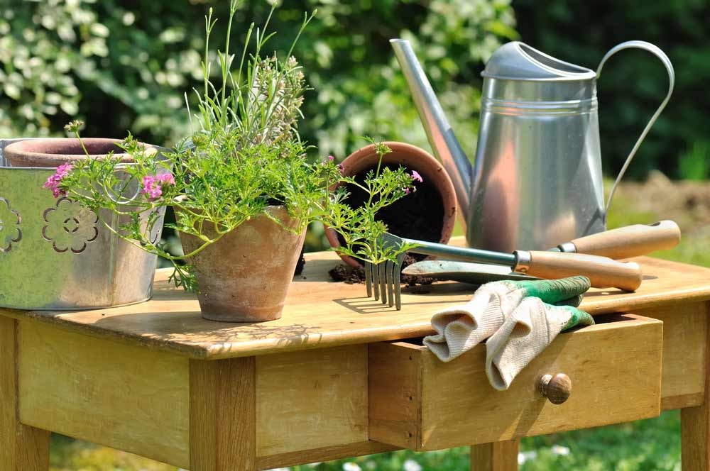 Pflanztisch mit Schubladen - Gartenwelt Online