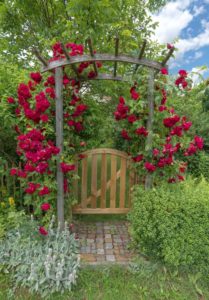 Rosenbogen mit Tür Gartenwelt Online